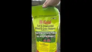 DIY Pest Control Hacks