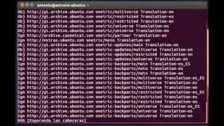 install Chrome ubuntu 11.10 and in other versions // instalar chrome en ubuntu 11.10