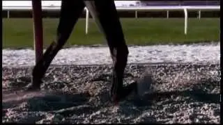 Ruffian-Impossible