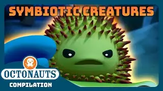 @Octonauts - 🦀 Symbiotic Creatures 🐋 | Back to School Special! | Full Episodes
