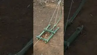 make unique bird trap