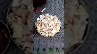 meri maa 