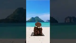 Groundhog Yoga #shorts #funny #yoga
