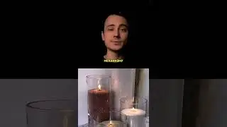 Свечи, которые покорили социальные сети  #бизнес #инвестиции