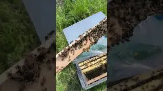 Чтобы рамки не сдвигались при перевозке