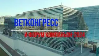 Весна. Конгресс. Сколково