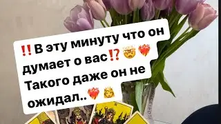 ‼️Такого даже он не ожидал🤯❤️‍🔥👸 