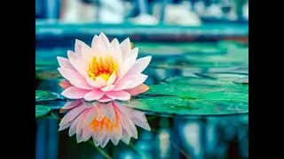💞Крайон. Притча о яме с дёгтем.💞(Часть первая.)