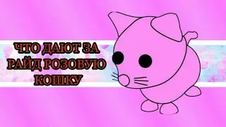 ЧТО ДАЮТ ЗА РОЗОВУЮ КОШКУ ТРЕЙДЫ