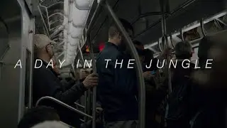 A day in the Jungle - shot on Blackmagic Pocket Cinema Camera 4K