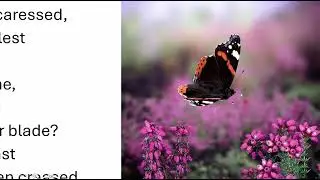 My Dark Vanessa Lecture 3: Allusions and References