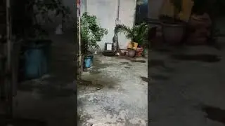 bắn bia tại nhà ^^