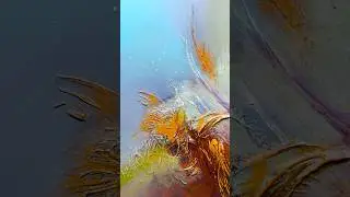 8 Painting Tips For Beginners