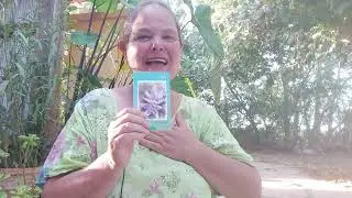 How Naomi's Flowers work for you and heal body and mind