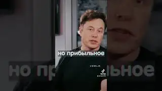 Илон Маск выращивает кабачки