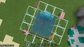 How to tame sea turtle in Minecraft