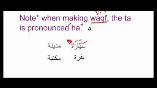 Arabic Grammar: Lesson 6; Al-Ta'neeth (The Feminine)