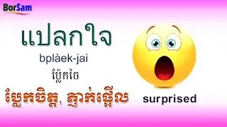 រៀនភាសាថៃ: ពាក្យទាក់ទឹងនឹងអារម្មណ៍ | Learn Thai Vocabulary: Feelings and Emotions