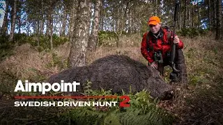 Swedish Driven Hunt - 2