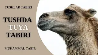 TUSHDA TUYA TABIRI | TUSHDA TUYANI KO'RISH NIMAGA TABIR BO'LADI?