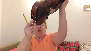 How to choose the right size of your violin?