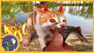 We go on fishing. The demon dwelled in cat Ryzhik