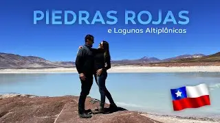 Piedras Rojas e Lagunas Altiplânicas | Deserto do Atacama