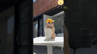 Летнее настроение 😎
