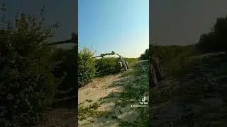 Dragon tree machine