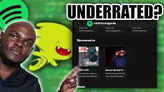 The DISCOVERED ON section on Spotify (2023)