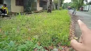 Covercrops Experiment