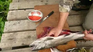 Камчатка река Саван.