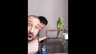 DOĞADAN YABANİ PAPAĞAN YAKALADIK ümit volkan durmaz