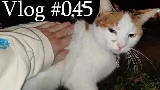 Vlog045 // Kort maar Krachtig