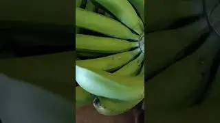 Baratong saging pang shake og banana cake