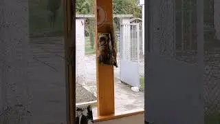 Болгария Храм Ванги