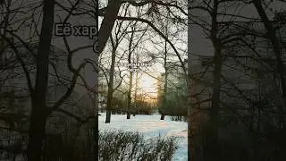 Wallem – Харизма💥 