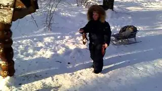 Гули