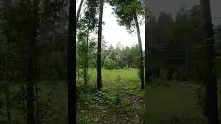 горы и леса южного урала 
