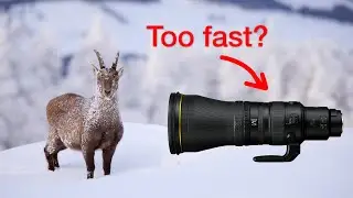 Fast lenses — do you know the DISADVANTAGES?