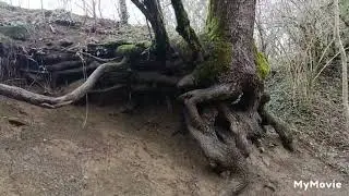 Мощь горной реки зимой