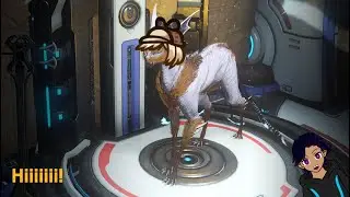 Yappin' about #1 - My Cat Amelia and You Tube status 【Warframe】
