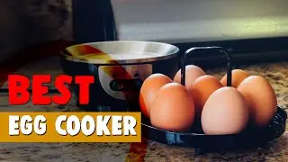 Best Egg Cooker in 2020 – Find the Best One Here!