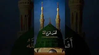 Quran Recitation #islamic_video #quran #shorts