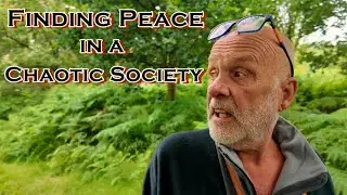 Finding Peace in a Chaotic Society