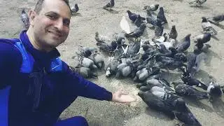 Made in Ukraine April 19, 2020