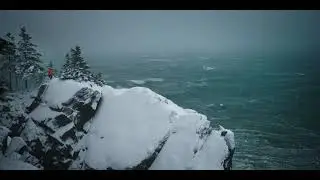Bold Coast Dreams