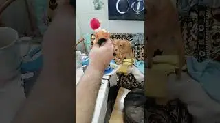 13 июля 2023 г.