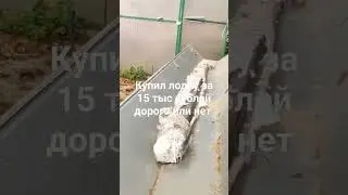 купил за 15 тыс рублей