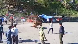 Noj 30 huyện kỳ sơn- Nghệ an